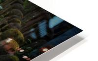 Rakan HD Metal print