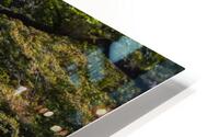 Bentendo-do HD Metal print