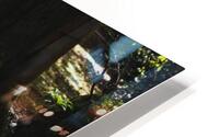 Rooted HD Metal print