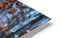 Fall Colors HD Metal print