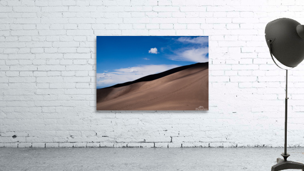 Curves Wall Preview