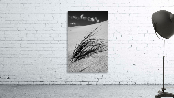 Resiliance Wall Preview