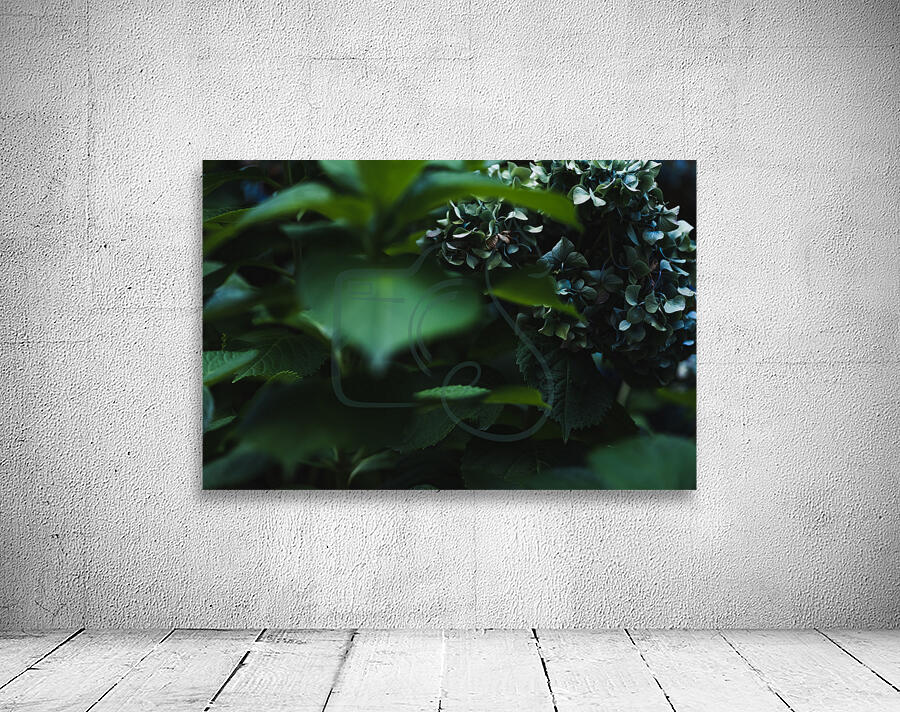 Deep in the Hydrangeas Wall Preview