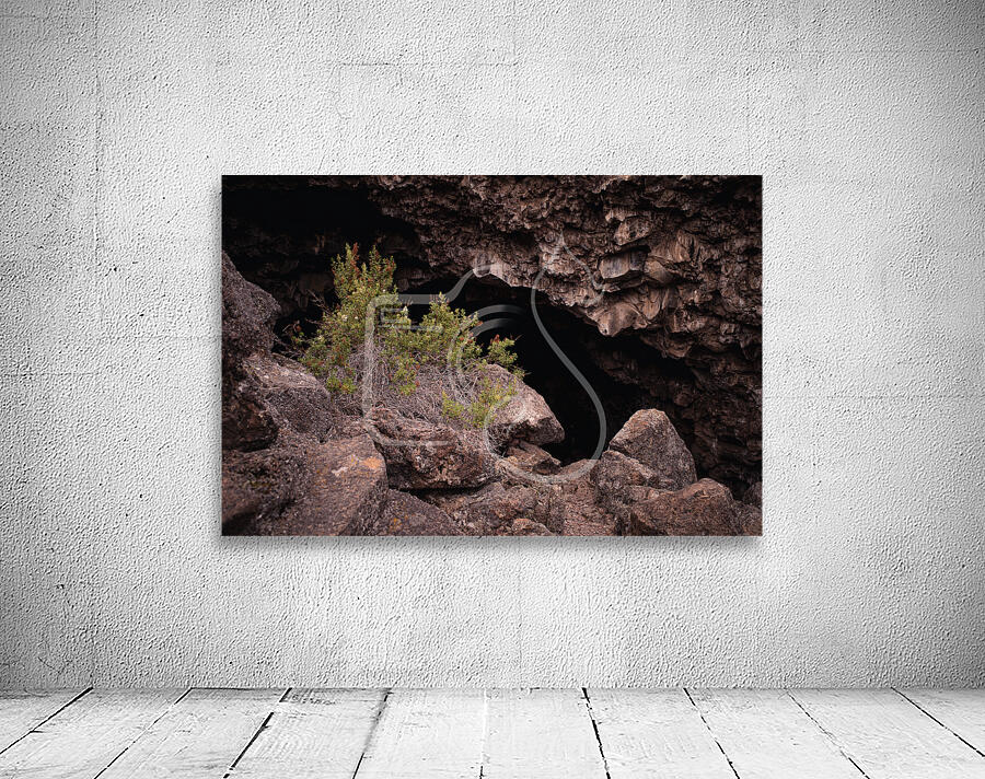 Into the Painted Cave Wall Preview