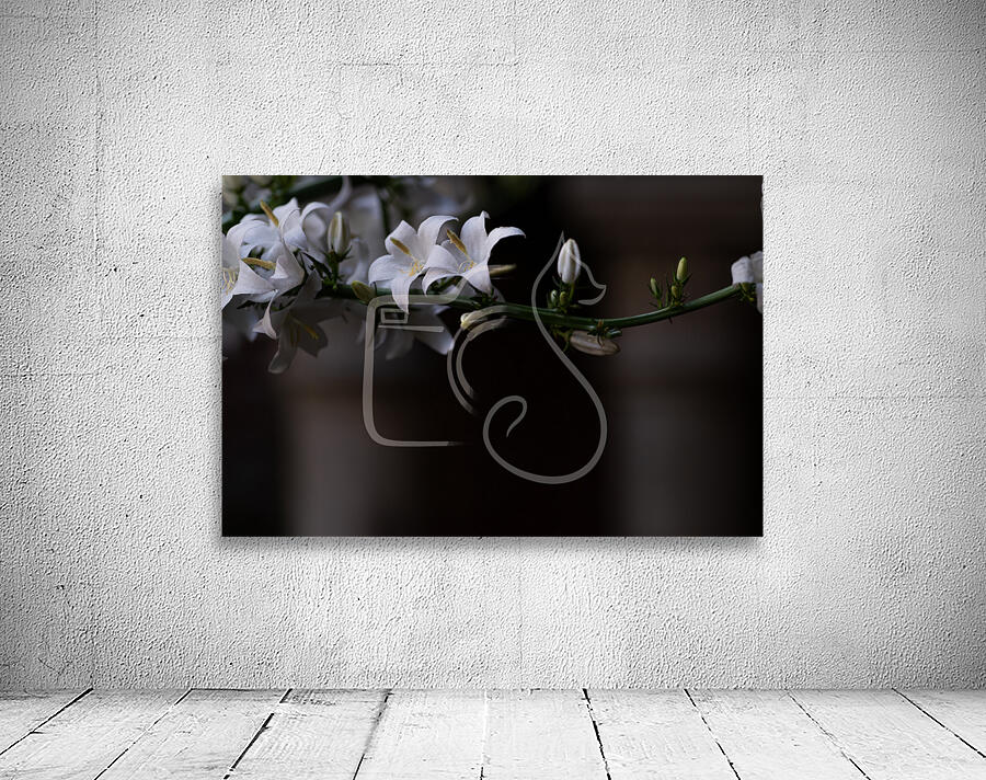 Waiting in White Wall Preview