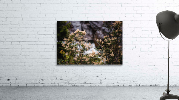 Above the Rapids Wall Preview