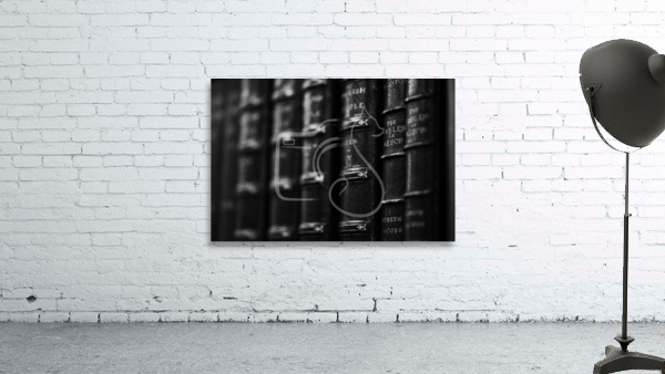 Aesop Wall Preview
