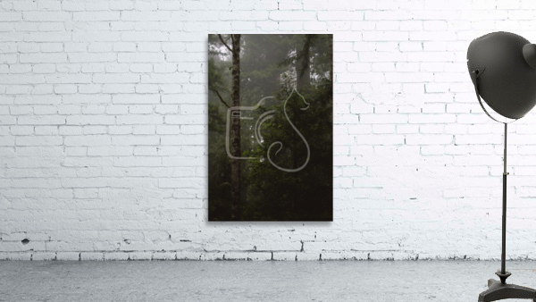 Misty Wall Preview