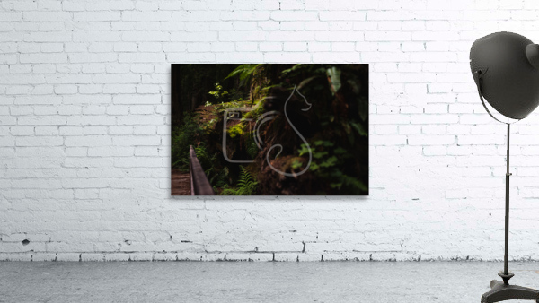 Forest Floor Wall Preview