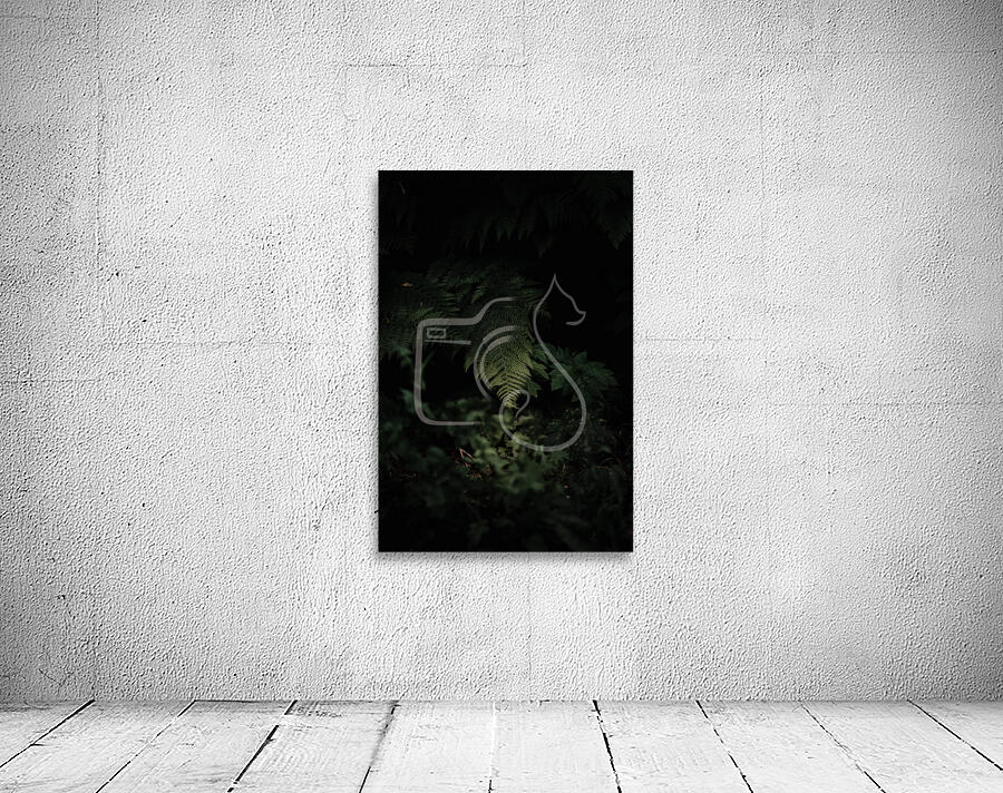 Fern Wall Preview
