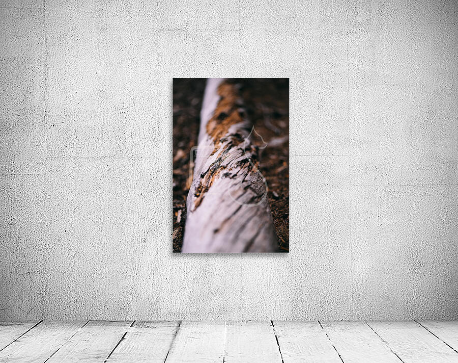 Twist Wall Preview