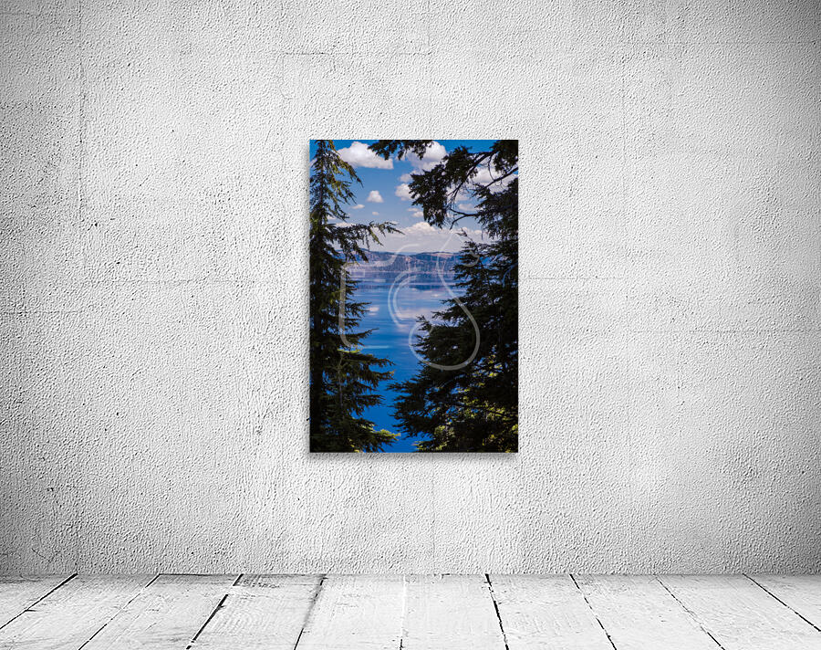 Between the Firs Wall Preview