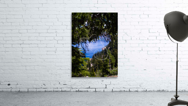Framed  Wall Preview