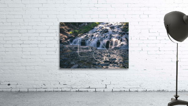 Vidae Wall Preview