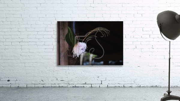 Dahlia Ikebana Wall Preview