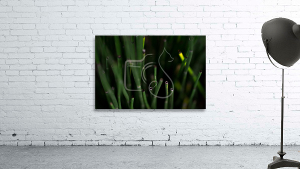 Horsetail Wall Preview