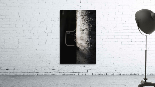 Quake in Contrast Wall Preview