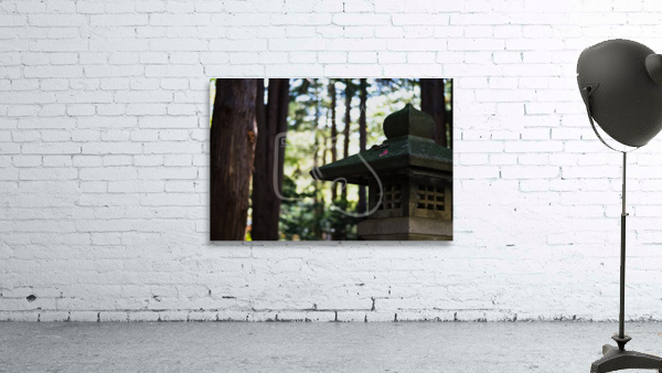 Maruyama Wall Preview