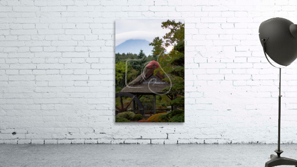 Timeless Wall Preview