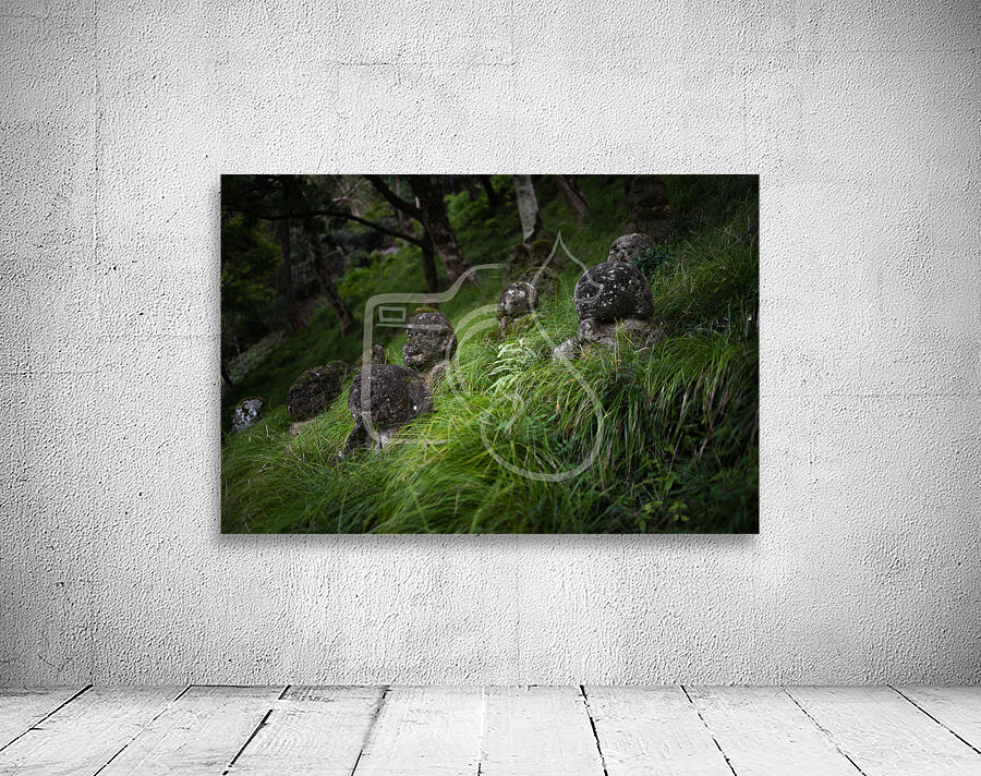 On the Hillside Wall Preview