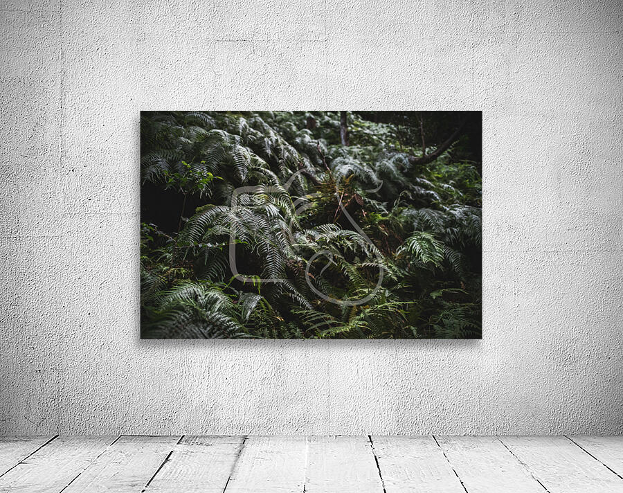 Forest Floor Wall Preview