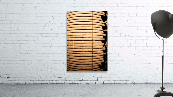 Paper Lantern Wall Preview