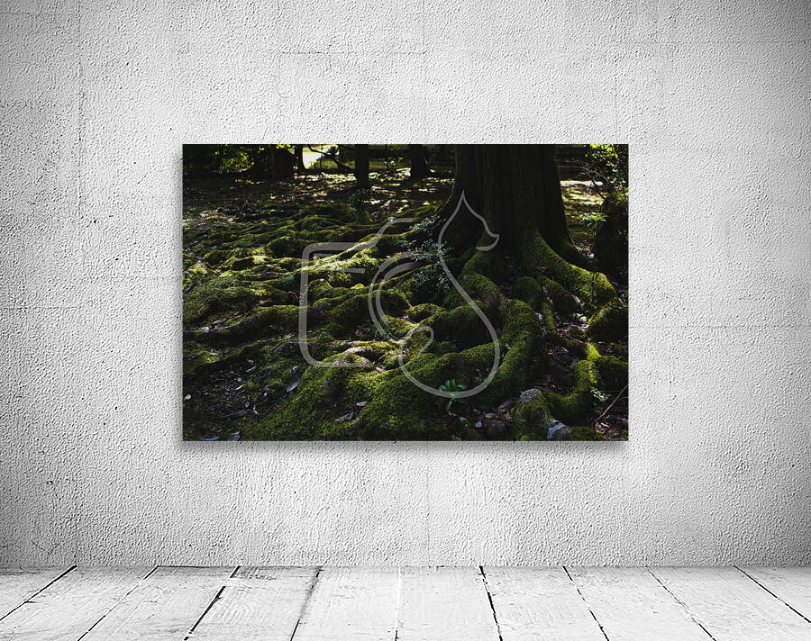 Rooted Wall Preview