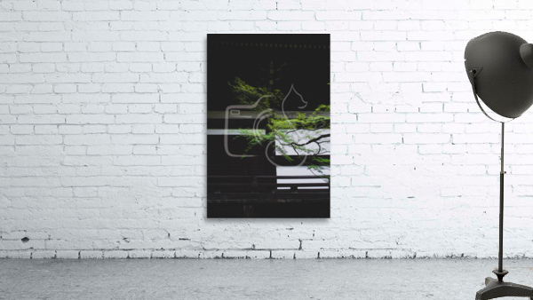 Kyoto Wall Preview