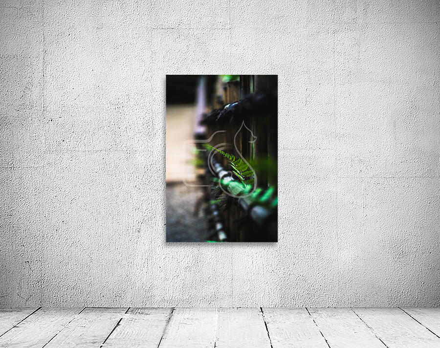 Fencing in Nature Wall Preview