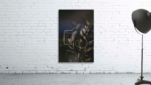 Bromus Inermus Wall Preview