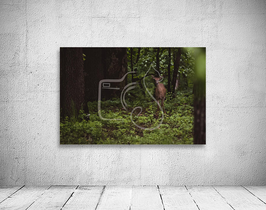 Hello Deer Wall Preview