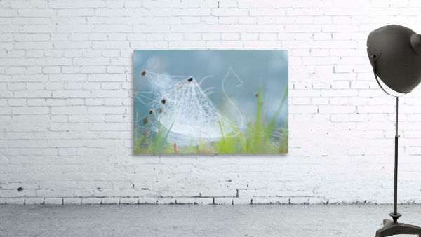 Dreamlike Dew Wall Preview