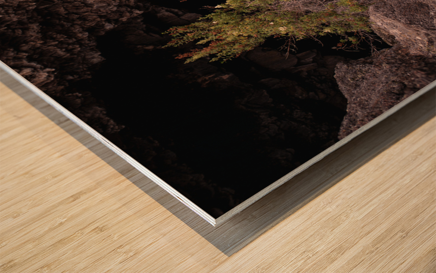Into the Painted Cave Wood print