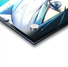 Sword Art Online Acrylic print