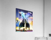 Sword Art Online Acrylic Print
