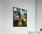 Sword Art Online Acrylic Print