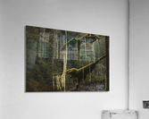 Old mans beard Acrylic Print