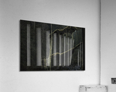 Old mans beard - dark Acrylic Print