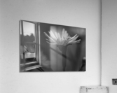 Wildflowers B&W Acrylic Print