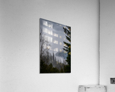 Best Friends Views Acrylic Print