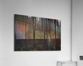 Englishman River Forest Acrylic Print
