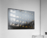 Foggy Forest Acrylic Print