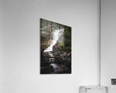 Under the Bridge Acrylic Print