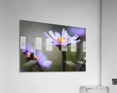 Purple Wildflowers Acrylic Print