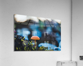 Fun Guy Acrylic Print