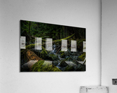 Creek bed Acrylic Print