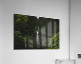 Waterfalls Acrylic Print