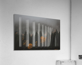 Fall Acrylic Print