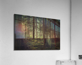 Forest Floor Acrylic Print
