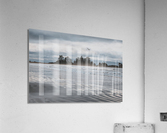 Fly Acrylic Print